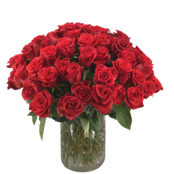 The Duchess 100 Roses 