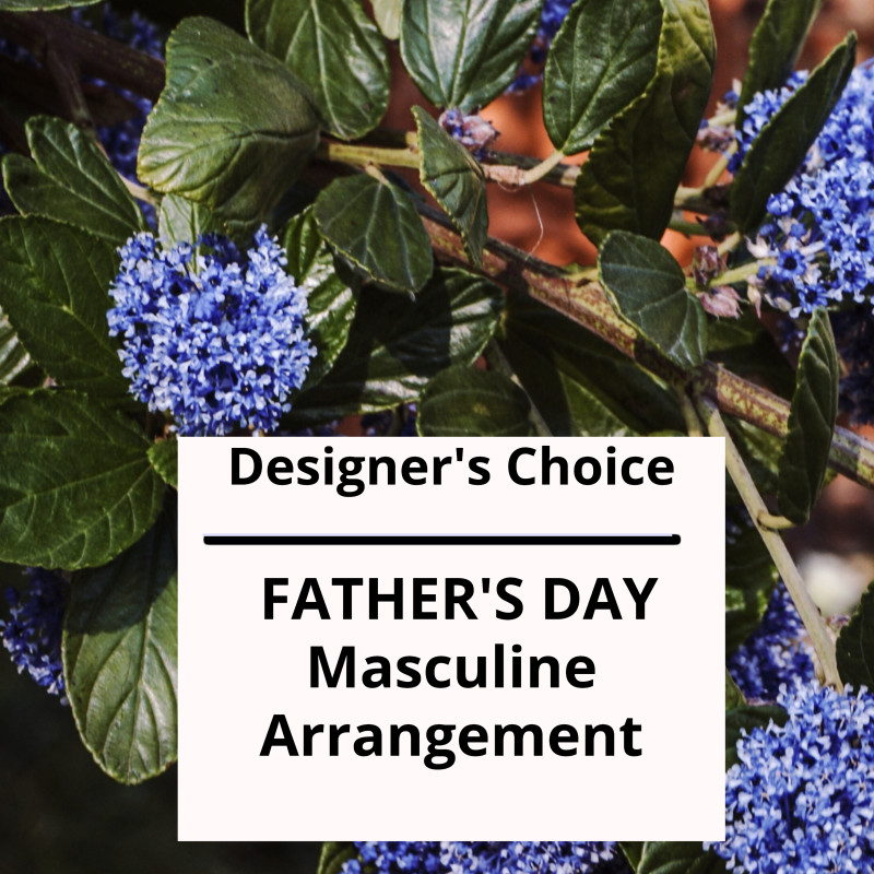 Designers Choice Fathers Day Masculine Arrangement - Same Day Delivery