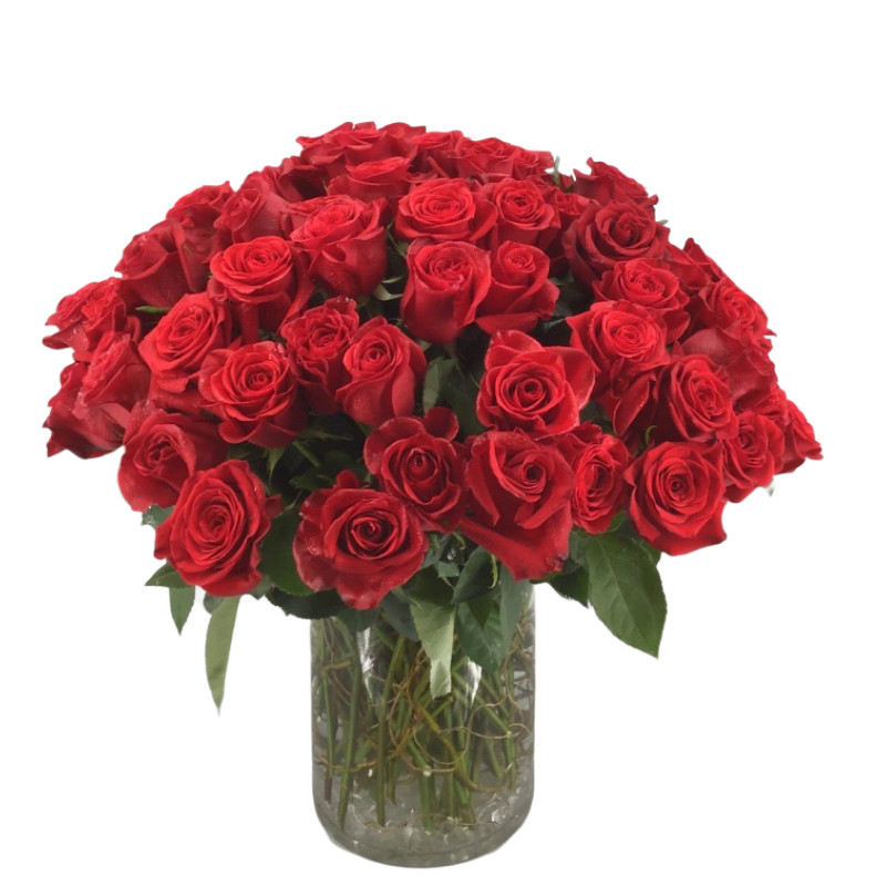 The Duchess 100 Roses  - Same Day Delivery