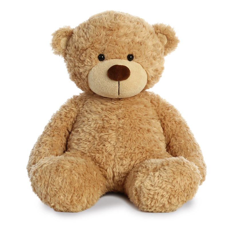 Hunny Bear 16 inch Plush - Same Day Delivery