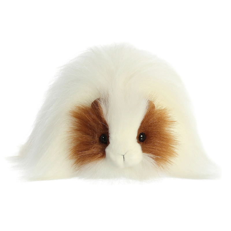 Quincy Guinea Pig 10 inch Plush - Same Day Delivery