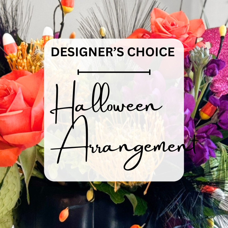Halloween Blooms Designers Choice  - Same Day Delivery