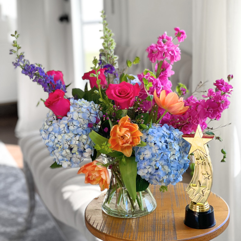 Hydro Color Splash - Same Day Delivery