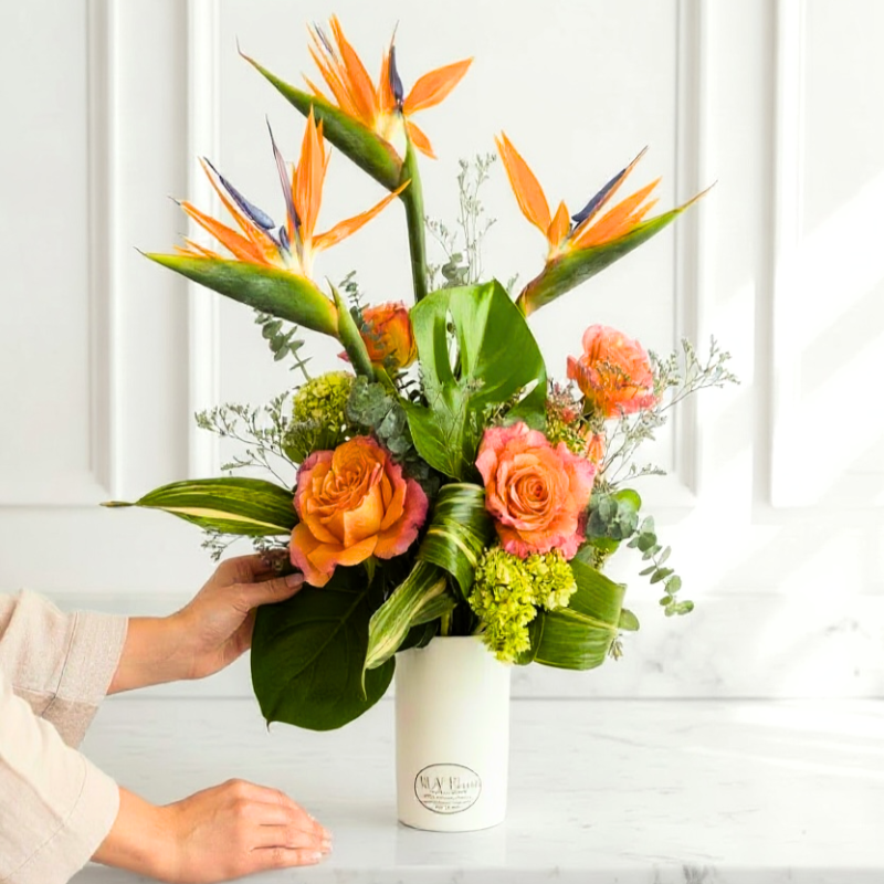 Palm Royale - Same Day Delivery