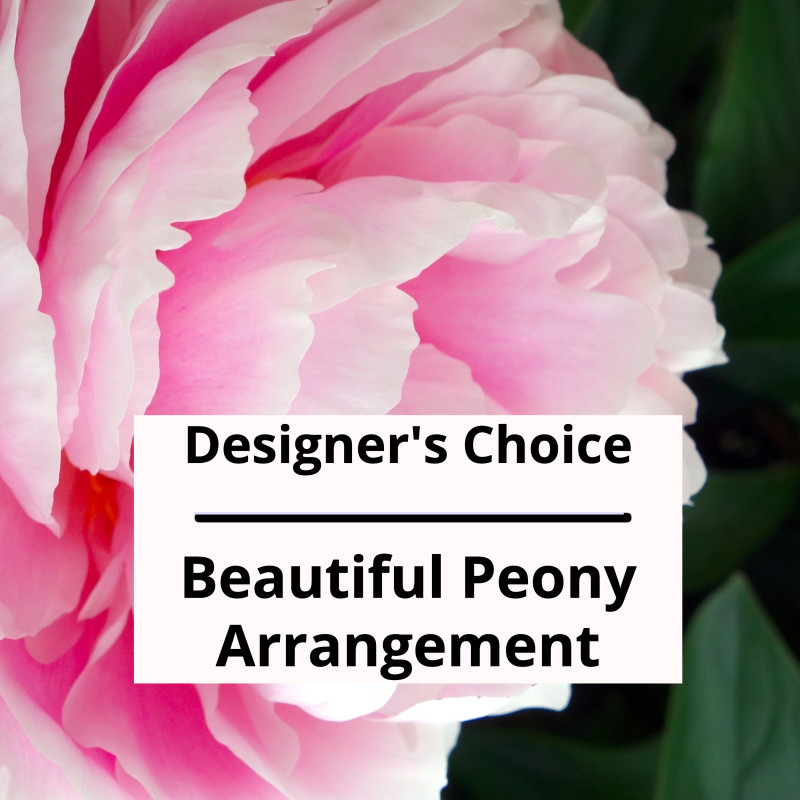 Peony Designers Choice - Same Day Delivery