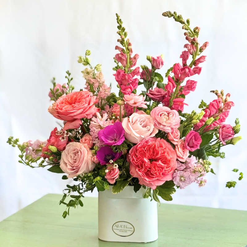 Pretty In Pink Fancy - Same Day Delivery