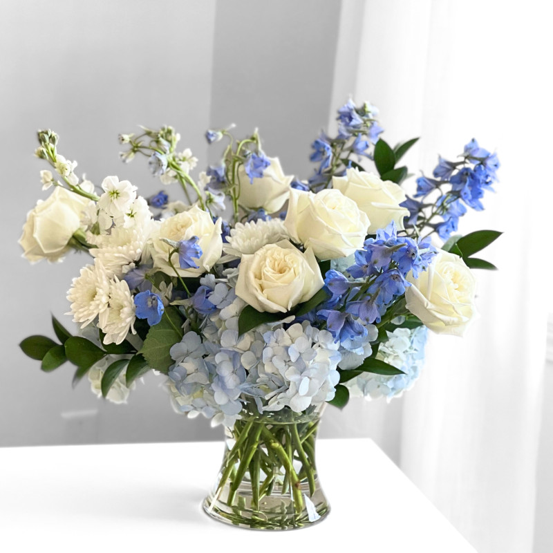 Sailor Blue - Same Day Delivery