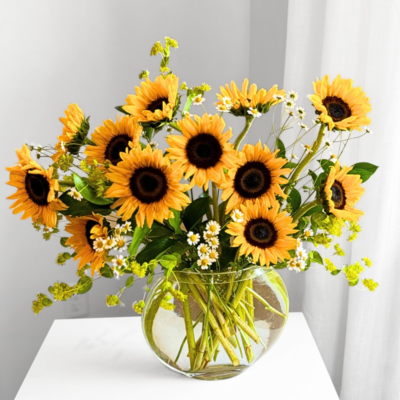 July Sunshine - Same Day Delivery