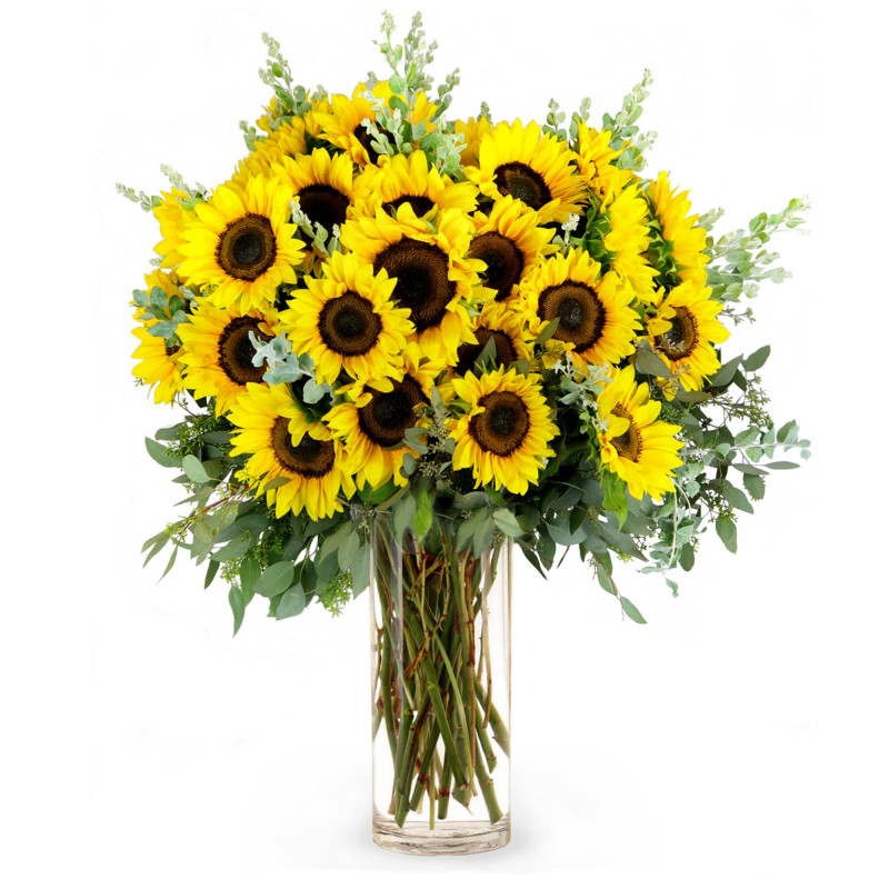 50 SunSational Sunflowers - Same Day Delivery