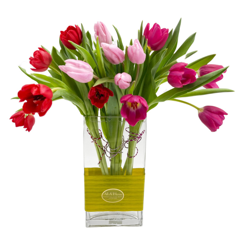 Sweet Tulips - Same Day Delivery
