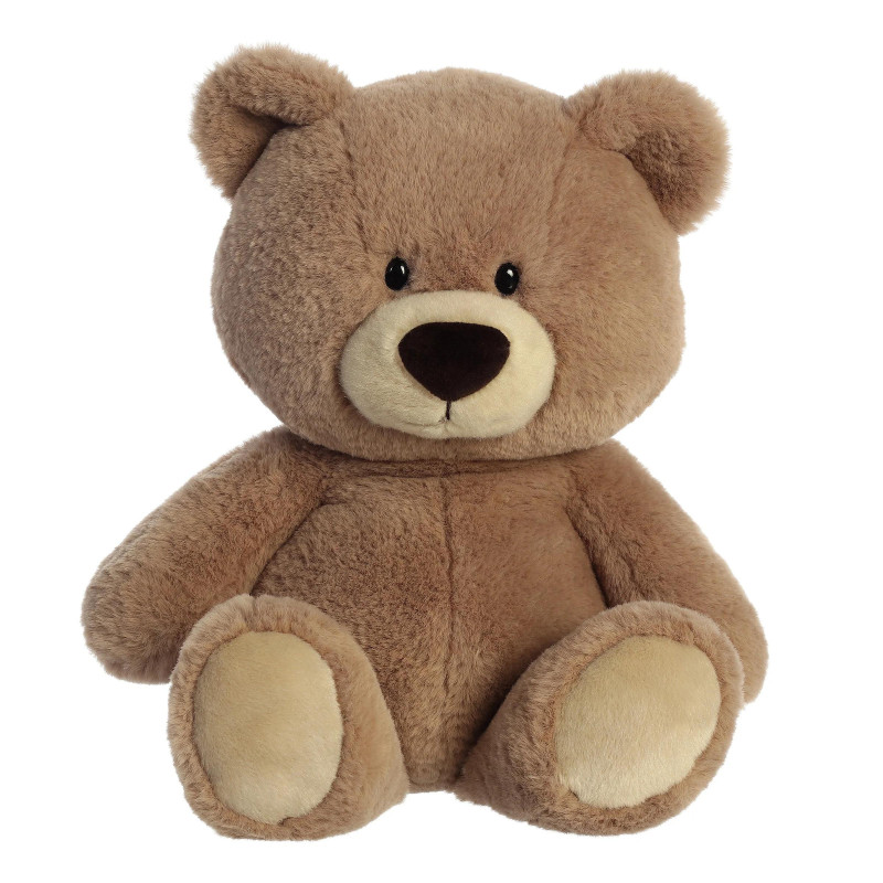 Sugar Bear 14 inch Plush - Same Day Delivery