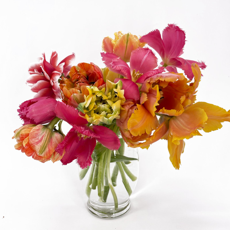 Locally Grown Tulip Love - Same Day Delivery