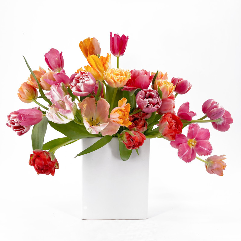 Dancing Colorful Locally Grown Tulips  - Same Day Delivery