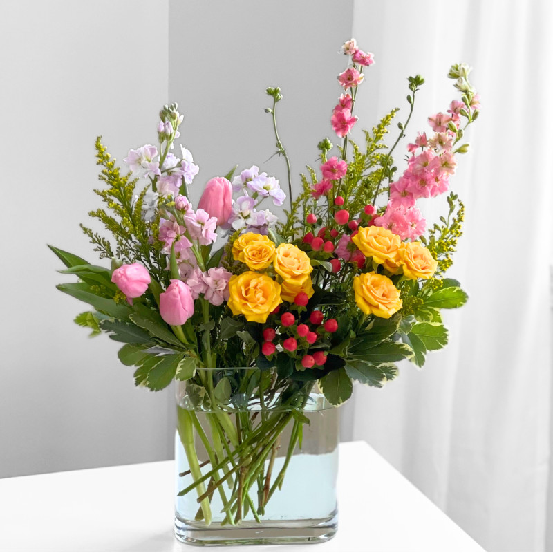 Tutti Frutti Cutie - Same Day Delivery