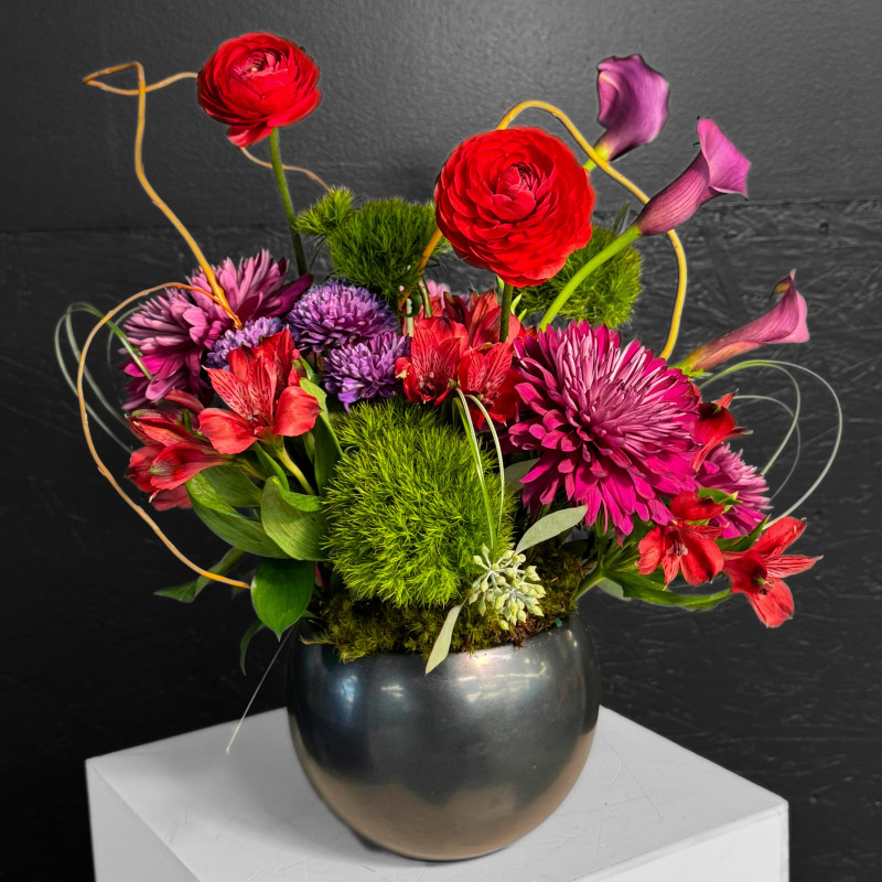 Velvet Current - Same Day Delivery