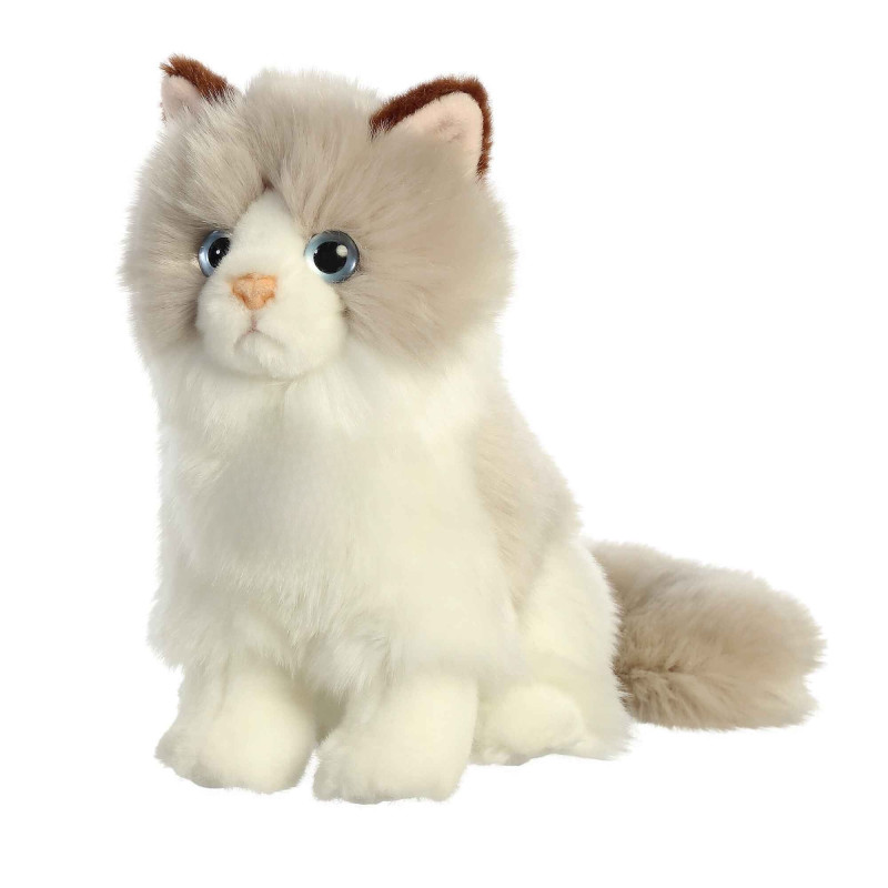 Benjamin Button - Same Day Delivery