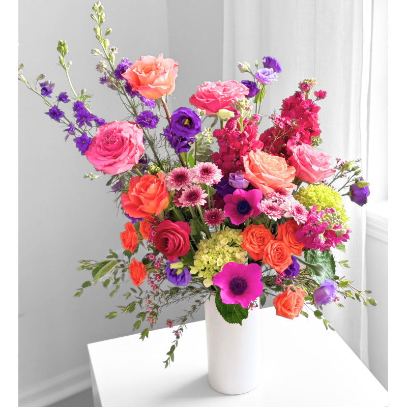 Bold and Beautiful - Same Day Delivery