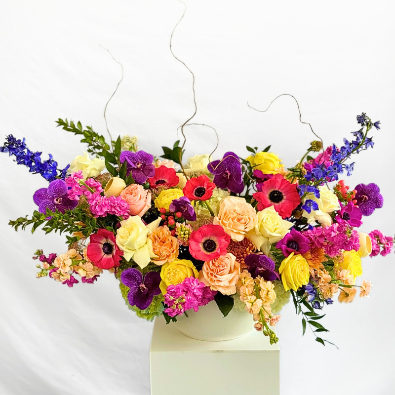 Drama Mama - Same Day Delivery