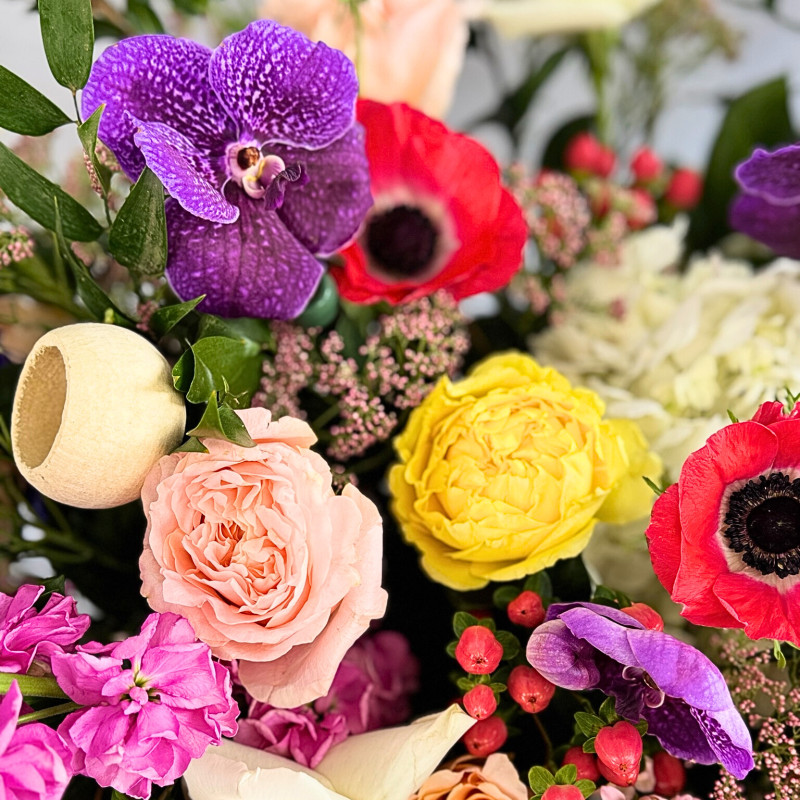 Drama Mama - Same Day Delivery