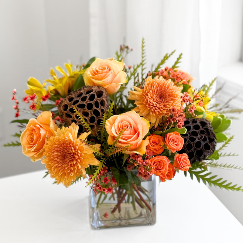 Lotus Pod - Same Day Delivery