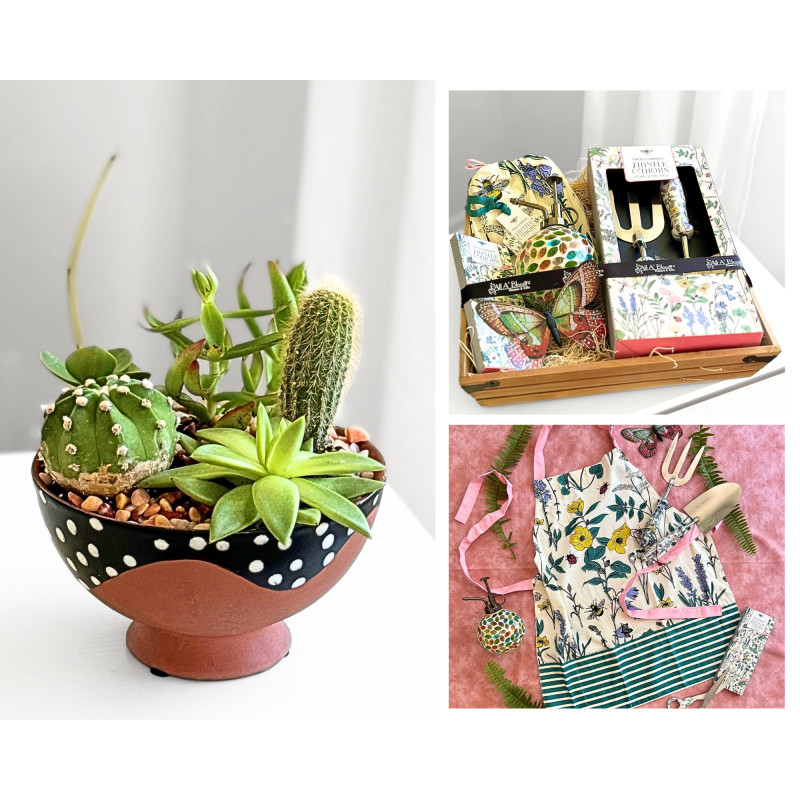 Desert Garden - Same Day Delivery