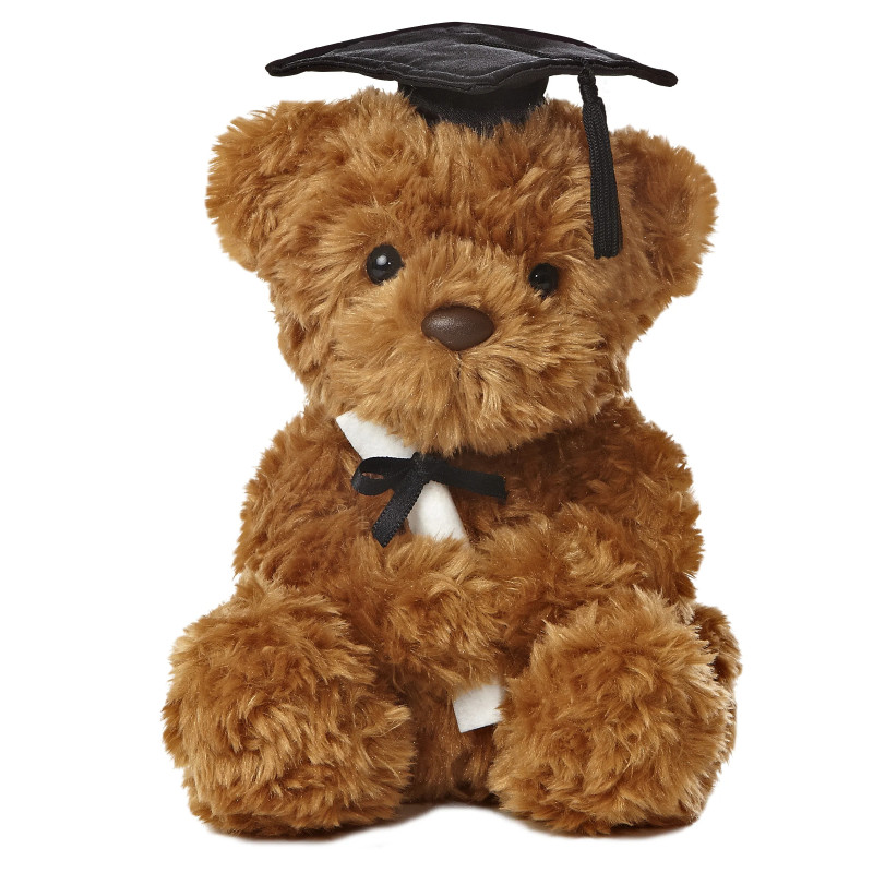 Graduation Bear 8.5 inch Plush - Same Day Delivery