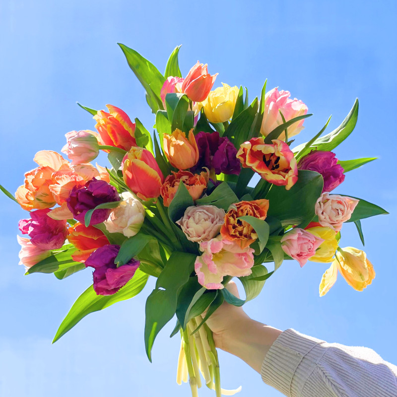 Kansas City Premium Locally Grown Tulip Bundle - Same Day Delivery