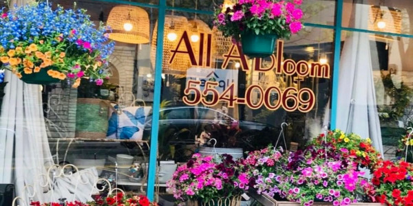 Retail, Design Studio & Flower Shop