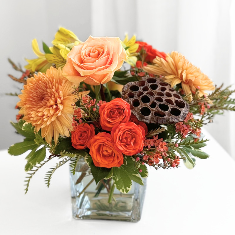 Lotus Pod - Same Day Delivery