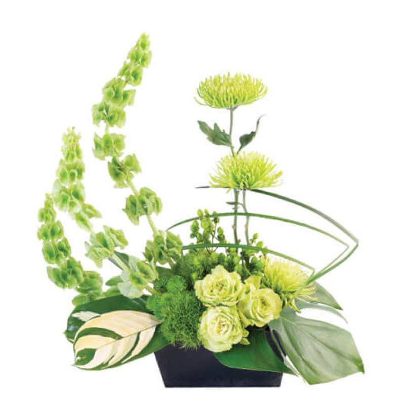 Lovely Bells of Ireland - Same Day Delivery