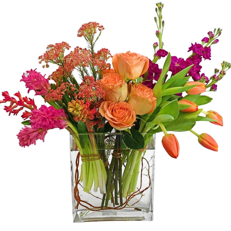 Maggie Mae - Same Day Delivery