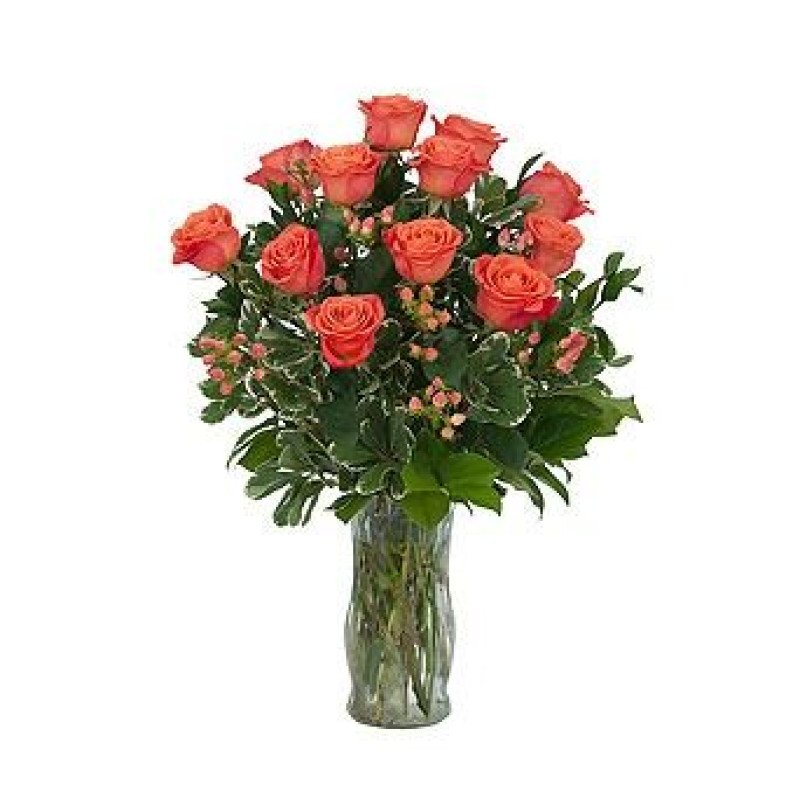 One Dozen Orange Kisses - Same Day Delivery