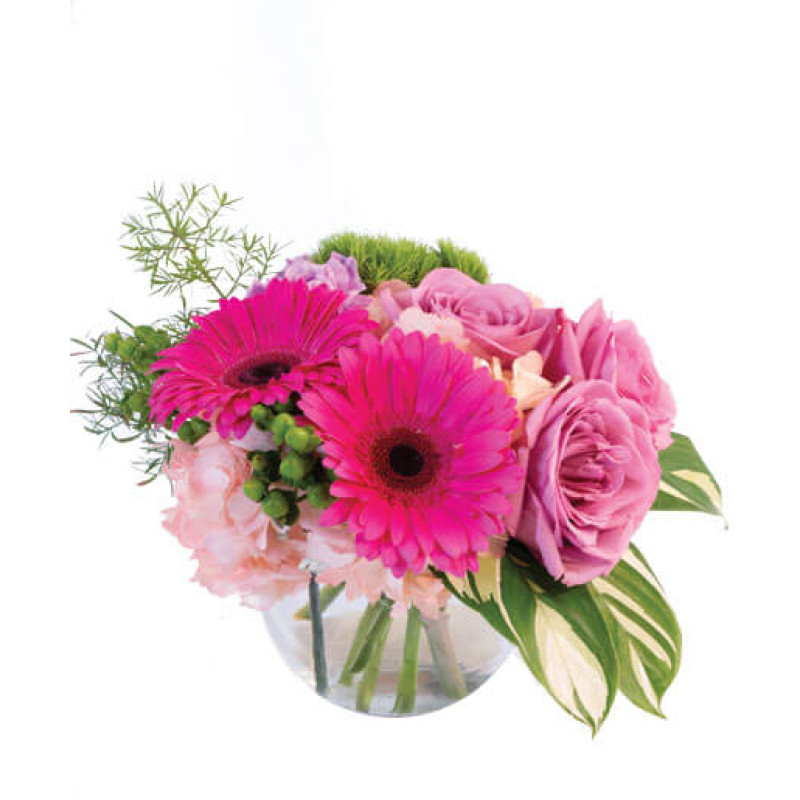 Pink Amore - Same Day Delivery