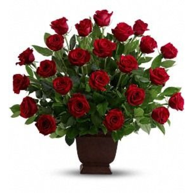 Regal Roses - Same Day Delivery