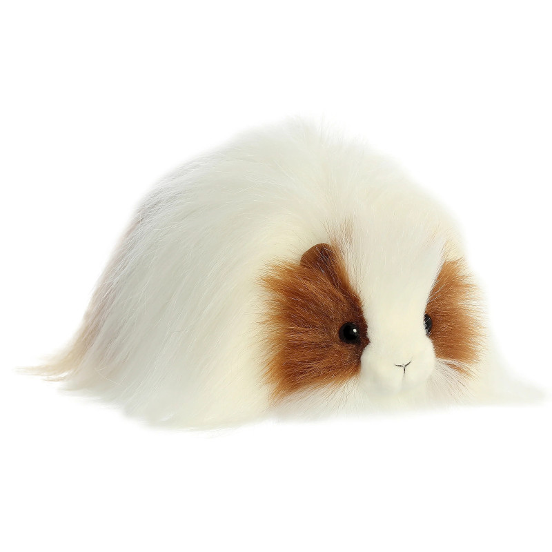 Quincy Guinea Pig 10 inch Plush - Same Day Delivery