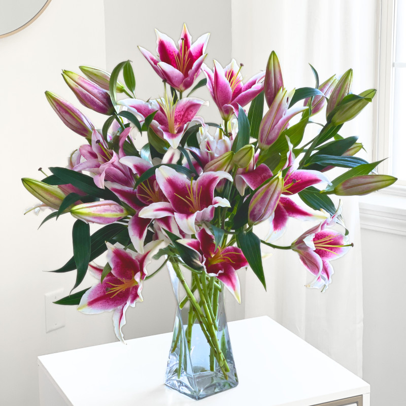 Stunning Stargazers - Same Day Delivery