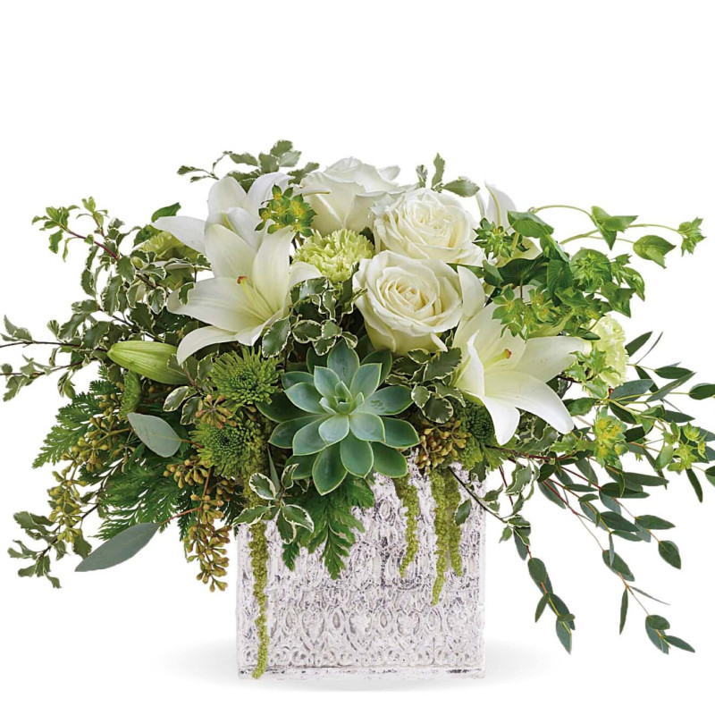 Stay Grounded - Same Day Delivery