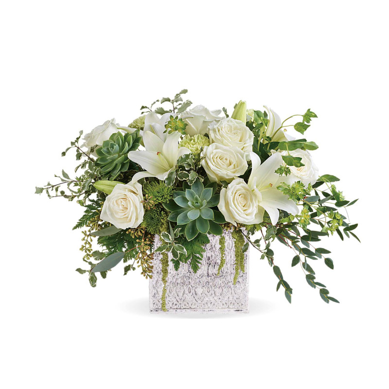 Stay Grounded - Same Day Delivery