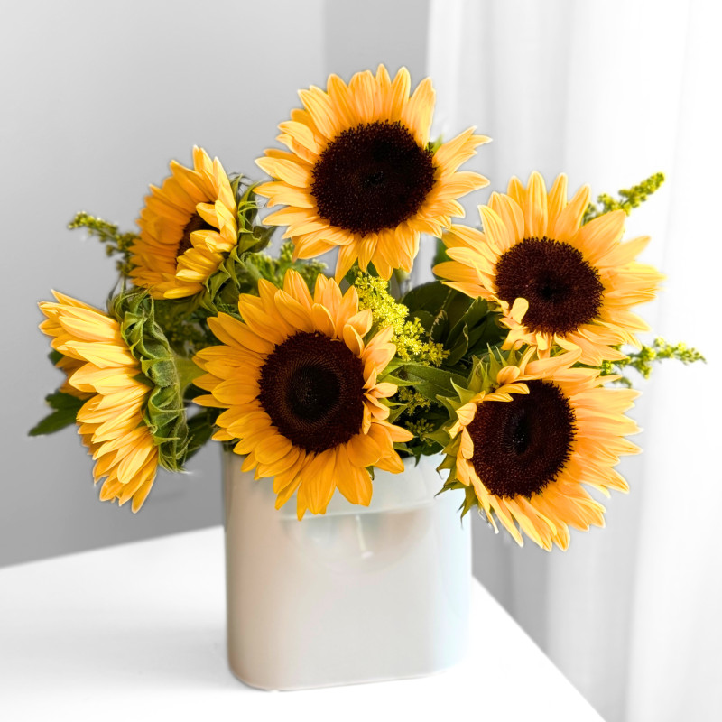 Sunshine - Same Day Delivery