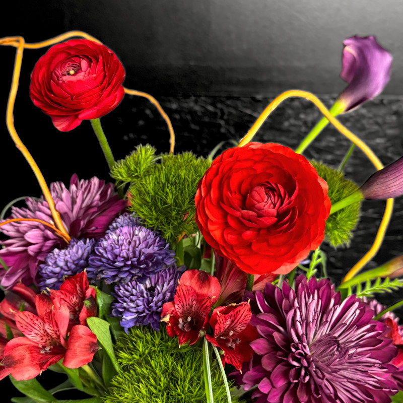 Velvet Current - Same Day Delivery