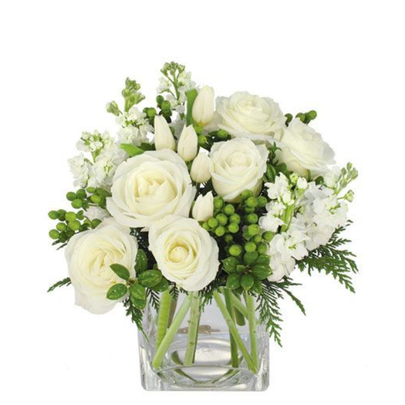 Wispy Whites - Same Day Delivery