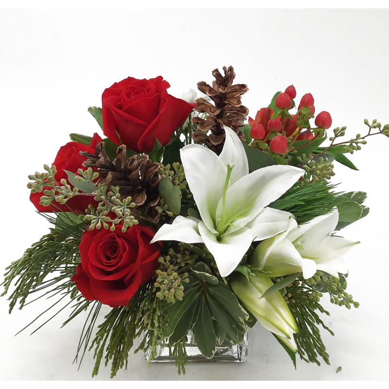 Winter Warmth - Same Day Delivery