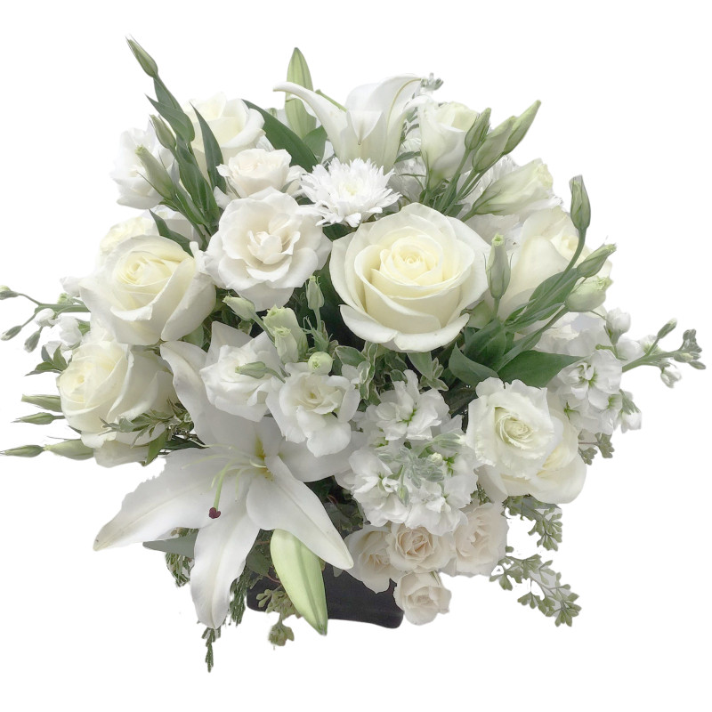 Elegant Harmony - Same Day Delivery