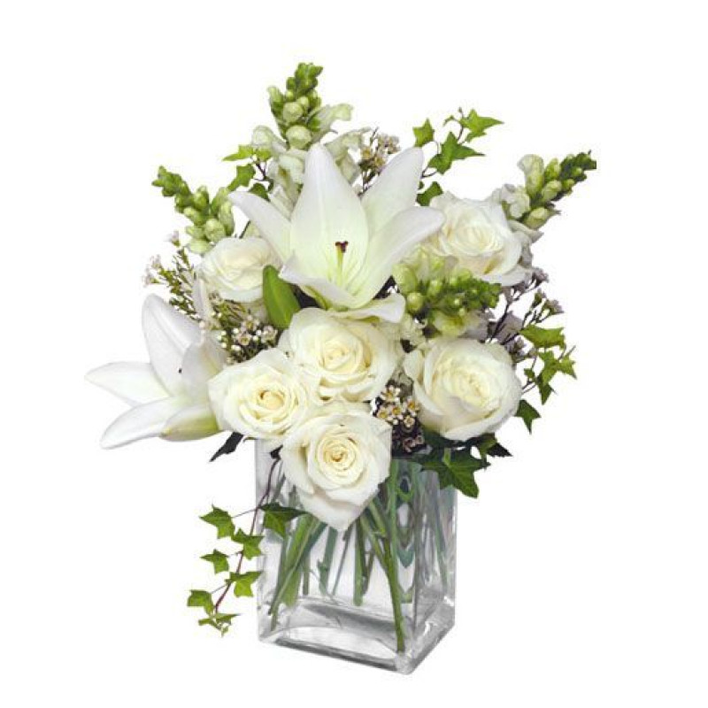 Wonderful Whites - Same Day Delivery