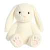 Brulee Bunny: Front View of Bunny
