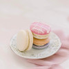 French Macarons by Kate Smith Soiree: Premium