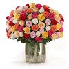 The Duchess 100 Roses : 100 Mixed Color Regal Roses