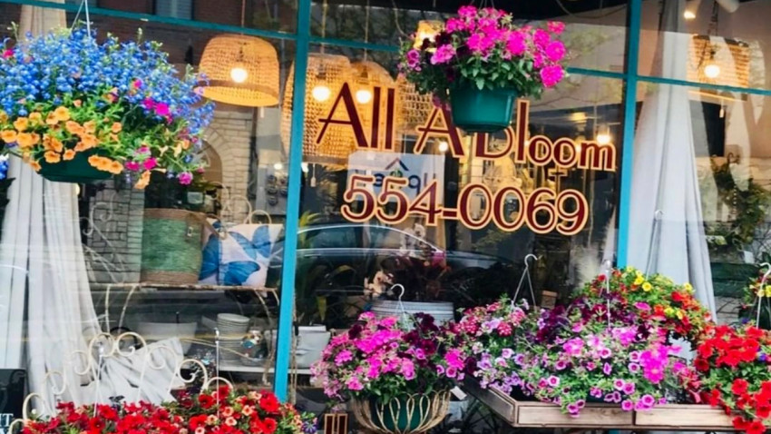 Retail, Design Studio & Flower Shop